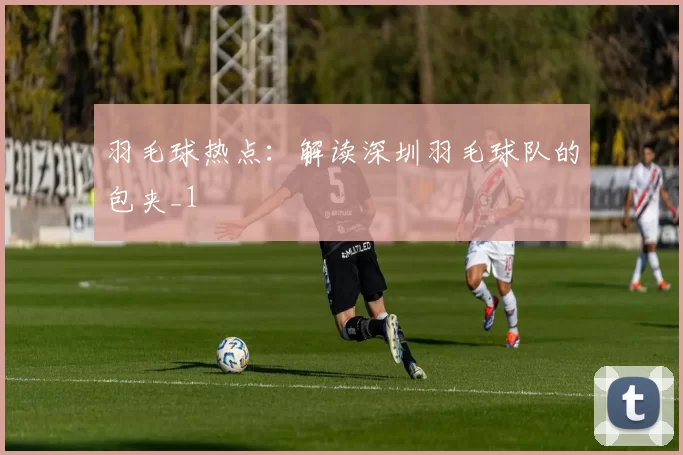 羽毛球热点：解读深圳羽毛球队的包夹_1