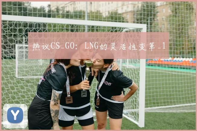 热议CS_GO：LNG的灵活性变革_1