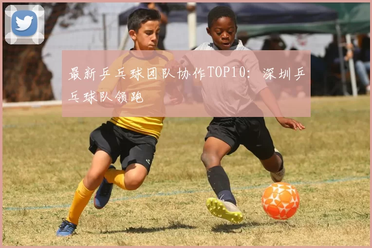 最新乒乓球团队协作TOP10：深圳乒乓球队领跑