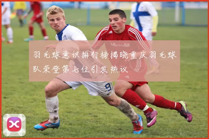 羽毛球意识排行榜揭晓重庆羽毛球队荣登第七位引发热议