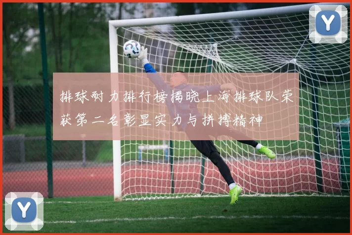 排球耐力排行榜揭晓上海排球队荣获第二名彰显实力与拼搏精神