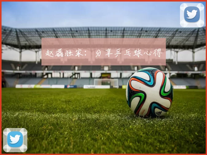 赵磊独家：分享乒乓球心得