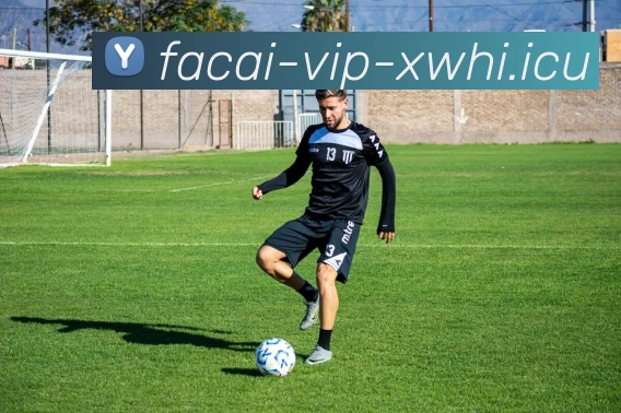 九游体育发展历程